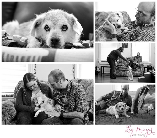 senior terminally ill pet photographer